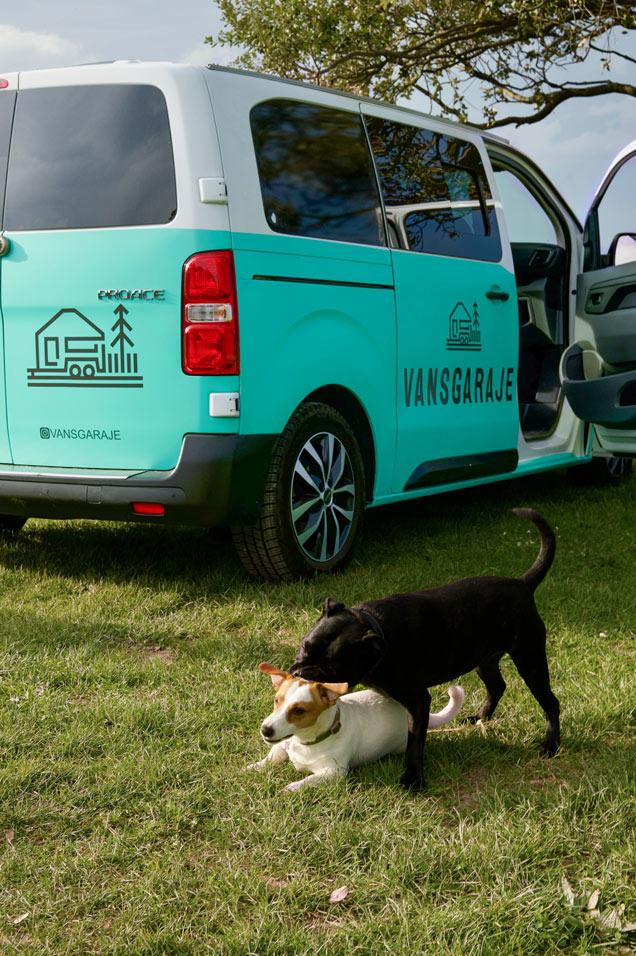 Toyota Proace 7